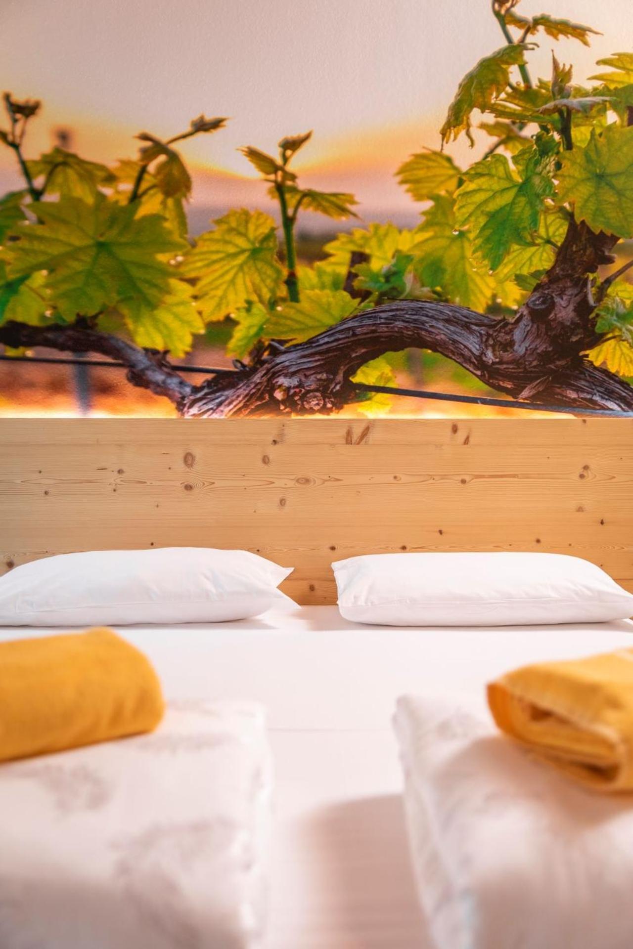 לינה וארוחת בוקר דרו Maso Agritur Santa Lucia מראה חיצוני תמונה
